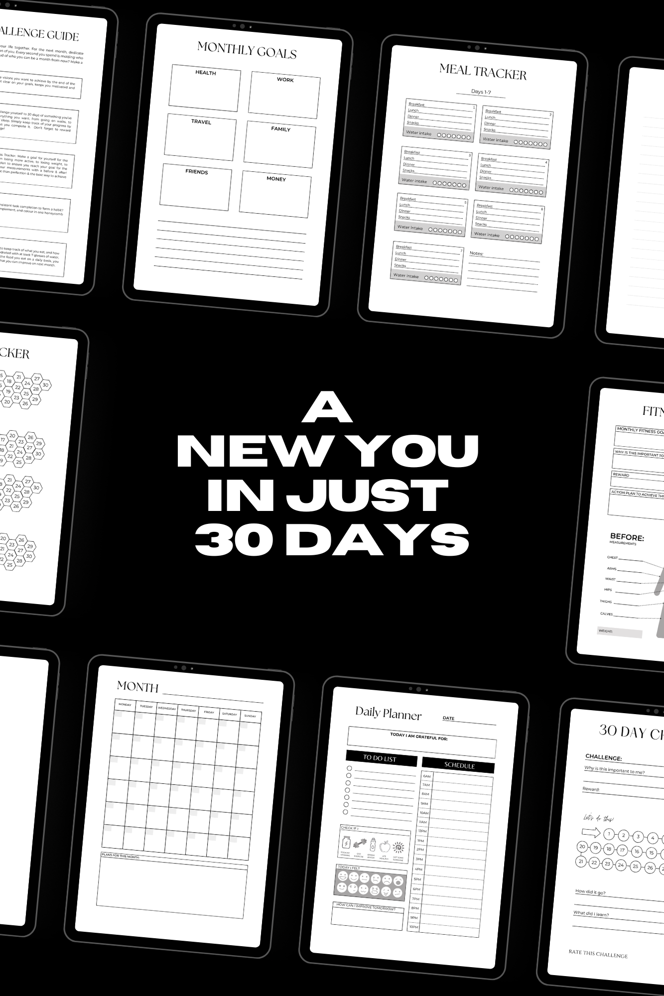 30 Day Planner (E-book)